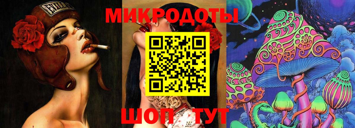 Галлюциногенные грибы Psilocybine cubensis Луга