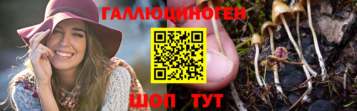 Луга  Псилоцибиновые грибы Magic Shrooms  Вход с VPN  Псилоцибиновые грибы ЛСД 