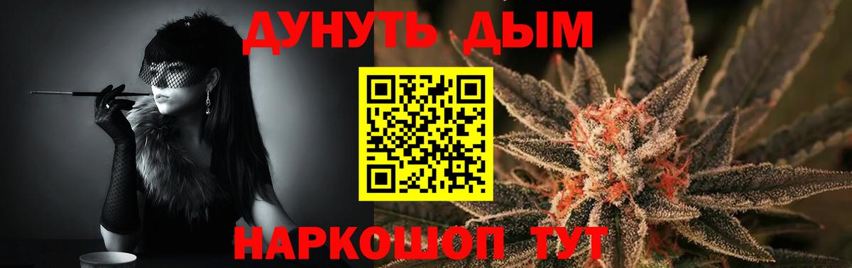 Конопля планчик Луга